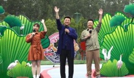 蓬莱新闻爆料事件视频最新,真相与争议交织的舆论漩涡