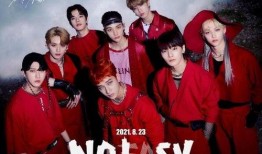 straykids在线观看,在线观看体验全解析